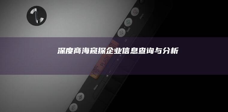 深度商海窥探：企业信息查询与分析